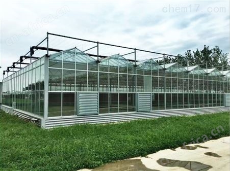 蔬菜玻璃温室公司