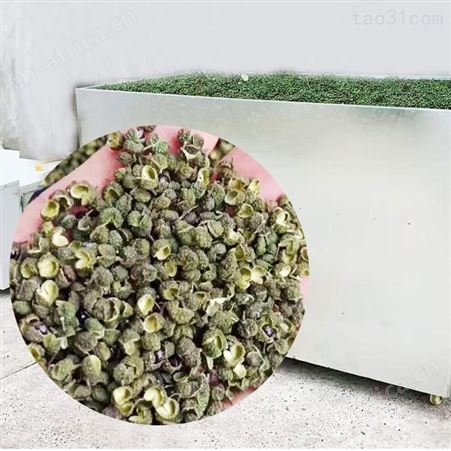 挑选花椒烘干机 空气能小型烘干机 药材干燥设备