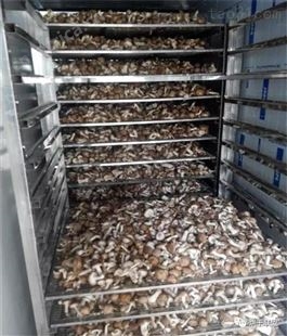 笋干竹子烘干房 百合荷花烘干机 工厂设计制定方案 上门安装