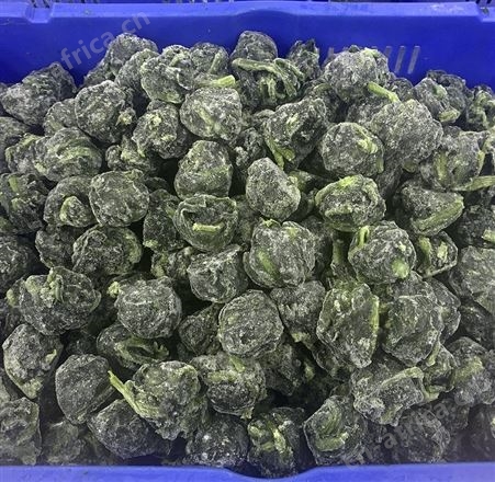 速冻批发冷冻菠菜 现货厂家直供 四季果蔬 