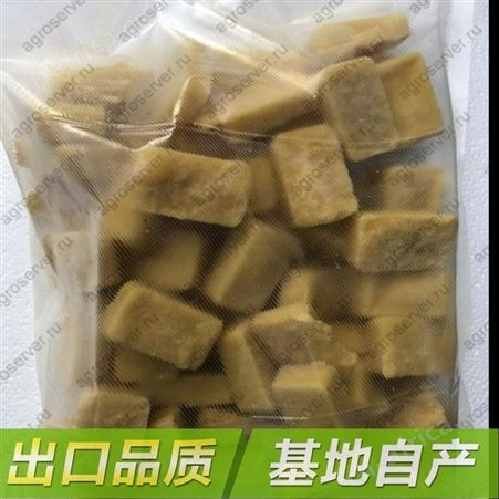 供应冷冻姜泥块 厨房用调味料姜泥 厂家现货 品质高