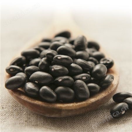 黑豆批发 东北有机黑豆 杂粮批发