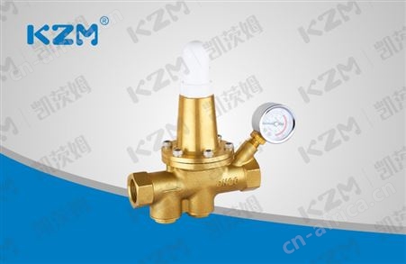 200P直接作用式可调减压阀