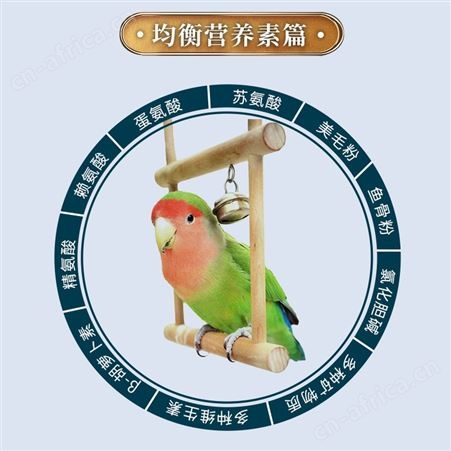 开元牡丹专用鹦鹉粮冻干水果蔬菜干混合鸟食鹦鹉鸟粮全价营养