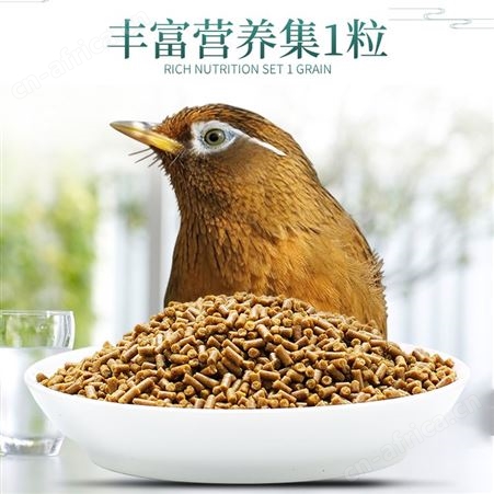 开元天然画眉食500g