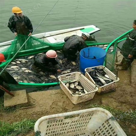 充气抬网合理 鱼塘***自动抬网 福利 尼龙充气抬网