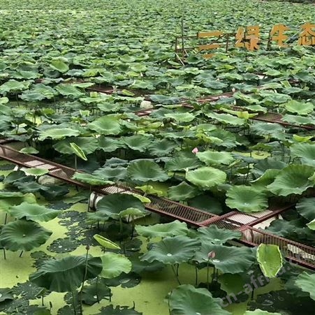 福利 定做尼龙小鱼苗网箱 定做尼龙拉网网箱 10目加厚养殖网箱