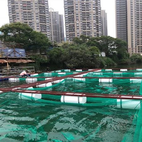 供应繁殖孵化网箱 网箱式抬网网箱 福利 尼龙渔网网箱