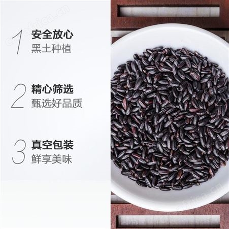 溢田和粮东北黑米2.5kg 和粮农业 杂粮
