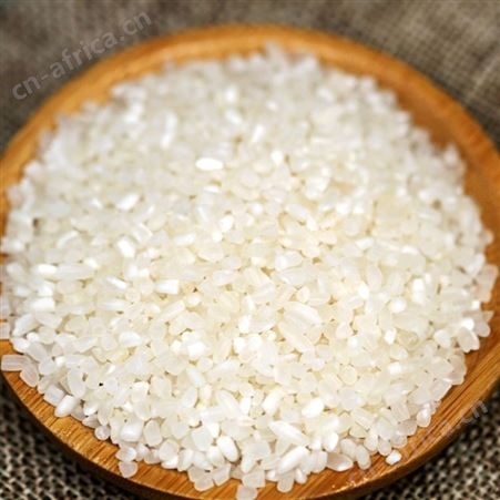 有机粥米 有机五常大米 胚芽米宝宝粥米婴大米 新米 粳米批发 -和粮农业
