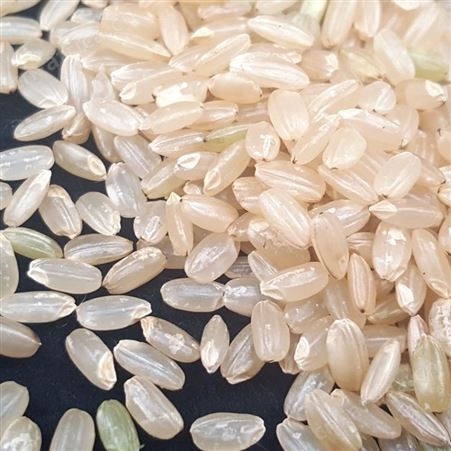 糙米 有机糙米 东北糙米新米胚芽活米糙大米 和粮农业厂家批发定制