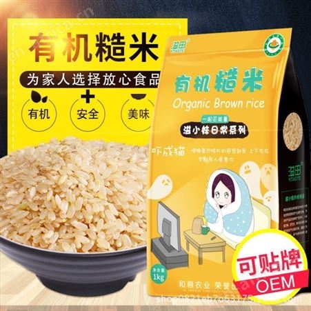 糙米 有机糙米 东北糙米新米胚芽活米糙大米 和粮农业厂家批发定制