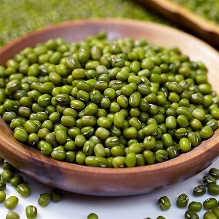 溢田东北绿豆500g绿豆芽 和粮农业 绿豆沙原料