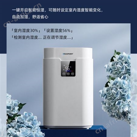 蓝宝无雾加湿器 家用客厅卧室加湿 孕妇婴儿空气净化杀菌大雾量加湿器