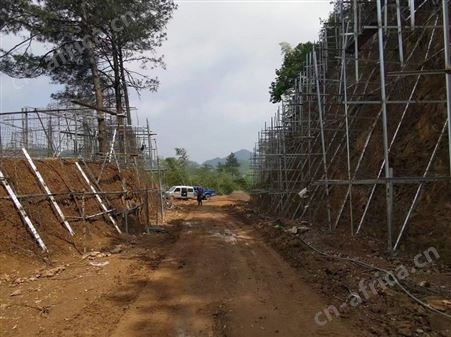 广西南宁塑石假山假树榕树