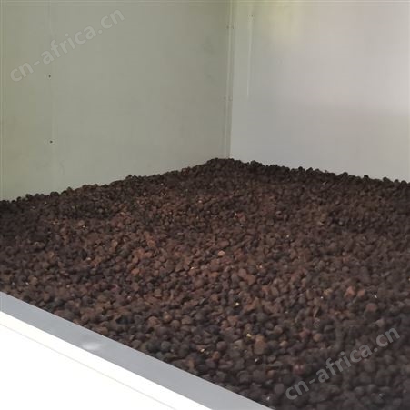 2022年新款油菜籽烘干机 油茶籽烘干时间温度 质保1年