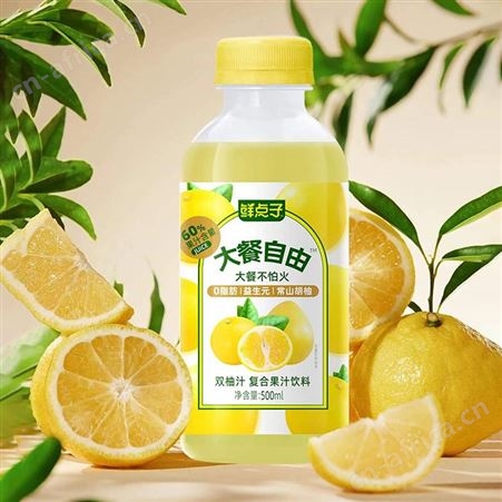 鲜点子大餐自由芒果复合果汁饮品果汁饮料500ml招商