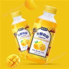 鲜点子大餐自由芒果复合果汁饮品果汁饮料500ml招商