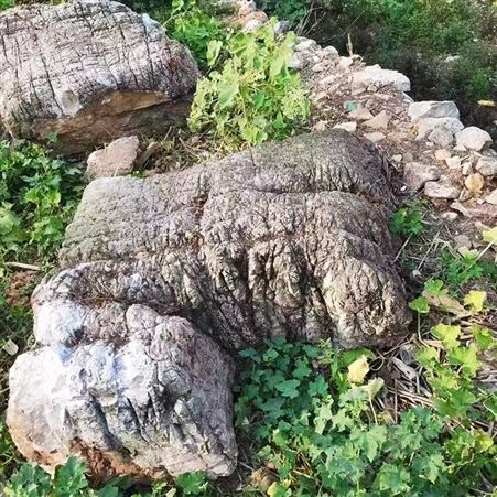 园林假山石 庭院龟纹石假山石材 大型水库流水驳岸石