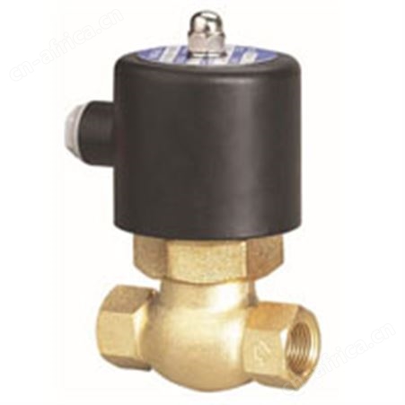 2L丝口黄铜电磁阀