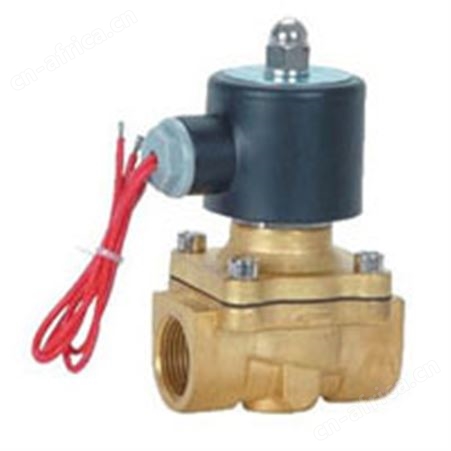 2W内螺纹黄铜电磁阀