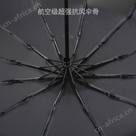 乐扣乐扣12骨抗风暴商务全自动折叠伞ETM038 公司礼品定制