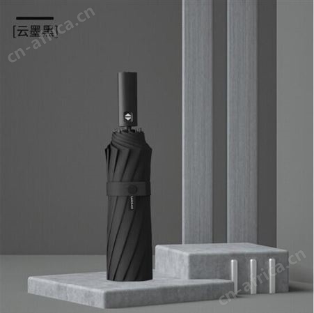 乐扣乐扣12骨抗风暴商务全自动折叠伞ETM038 公司礼品定制