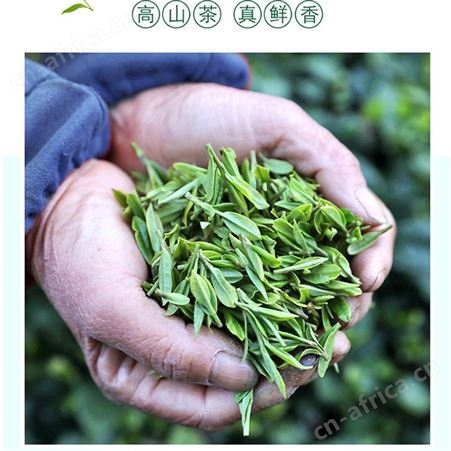 盛创汇联生态龙井茶500g礼盒装 茶叶绿茶活动伴手礼