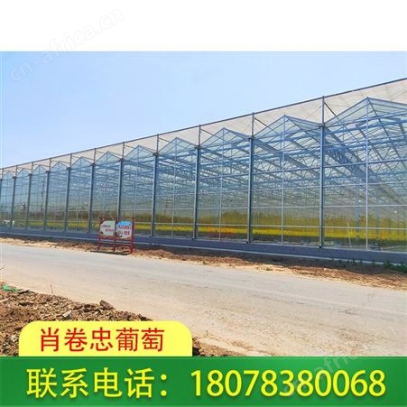 百色温室大棚|连栋蔬菜大棚制作设计