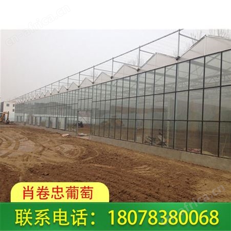 百色温室大棚|连栋蔬菜大棚制作设计