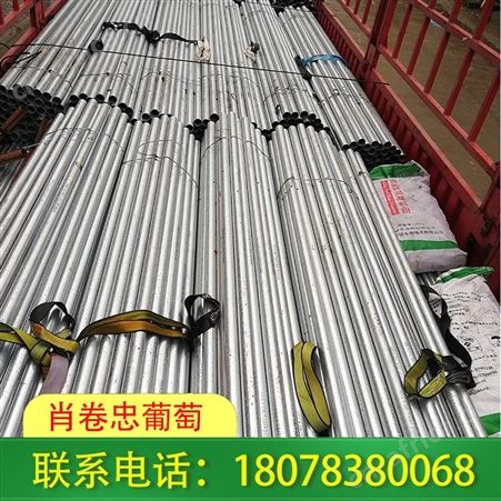 广西钢结构连栋大棚工程满足不同需求
