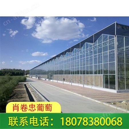 百色养牛养猪养羊大棚 强度高安装维护方便