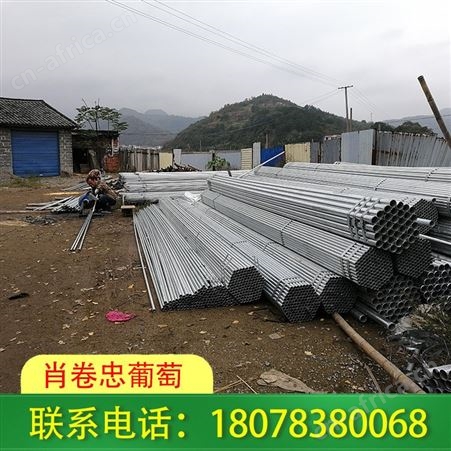 广西东兴钢管独立大棚架子搭建详询请联系肖卷忠葡萄