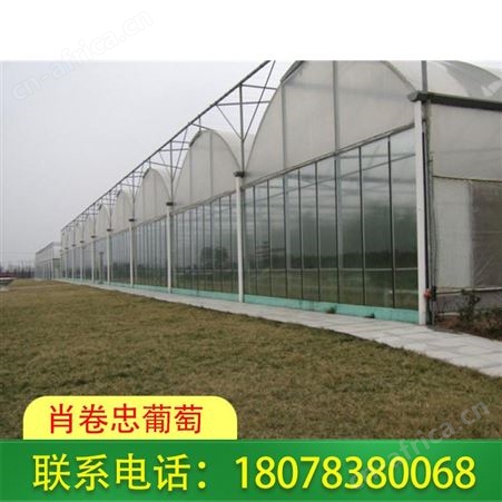 柳州玻璃连栋温室大棚适用生态餐厅、休闲观光等