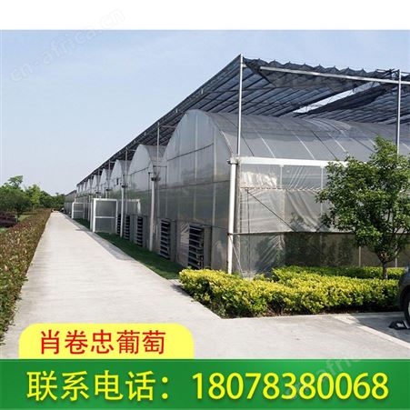 玉林农业养殖棚 连栋温室大棚收费合理