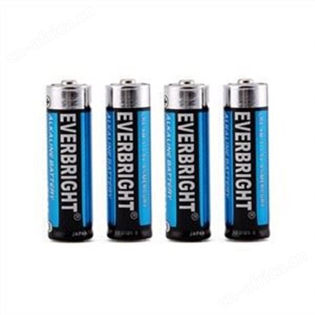 1.5 Volt Alkaline Battery