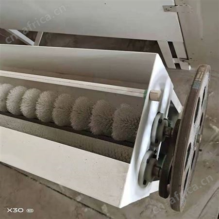 洗蛋机 多功能洗蛋机 尼龙毛刷辊蛋品类清洗机 溢盈机械