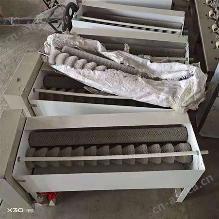 洗蛋机 多功能洗蛋机 尼龙毛刷辊蛋品类清洗机 溢盈机械