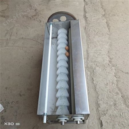 洗蛋机 多功能洗蛋机 尼龙毛刷辊蛋品类清洗机 溢盈机械
