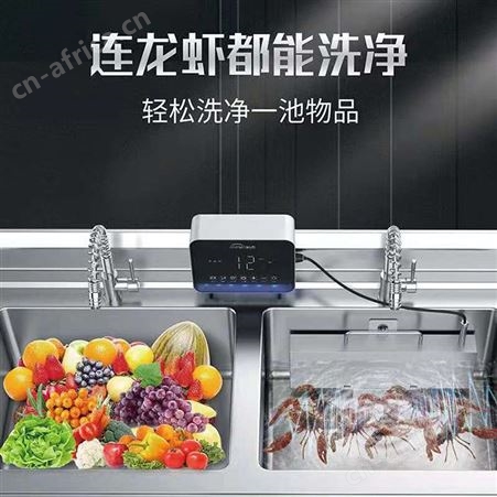 大型洗菜设备 商用蔬菜去农残净化机自动洗菜机 果蔬清洗机 巧夺