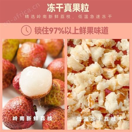 冷泡茶oem厂家 养生茶贴牌荔枝红茶大份量定制 三角包袋泡茶代加工