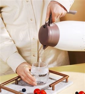 特美刻316不锈钢保温壶家用大容量热水瓶真空保暖壶开水瓶2L