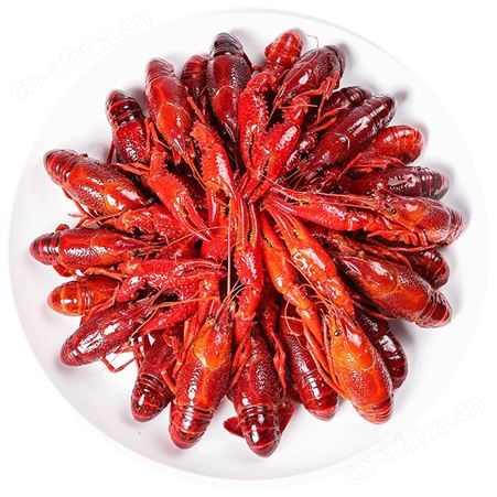 楚虾王大虾香辣麻辣蒜蓉鲜活小龙虾熟食包装即食水产冻虾包邮到家