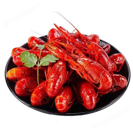 楚虾王大虾香辣麻辣蒜蓉鲜活小龙虾熟食包装即食水产冻虾包邮到家