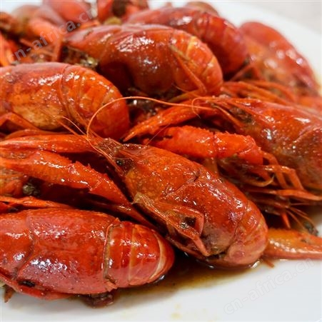 国联水产龙霸麻辣蒜蓉龙虾熟食4-6钱十三香小龙虾外卖商用750g
