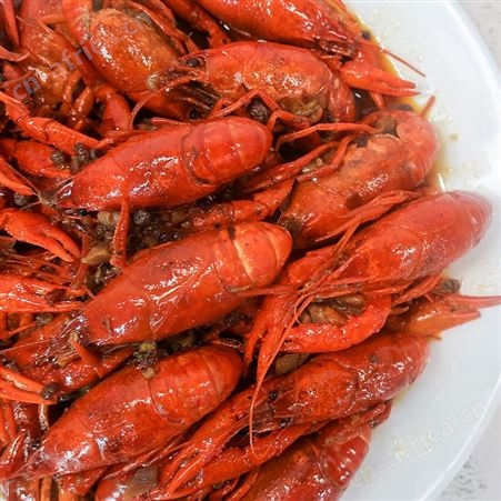 国联水产龙霸麻辣蒜蓉龙虾熟食4-6钱十三香小龙虾外卖商用750g
