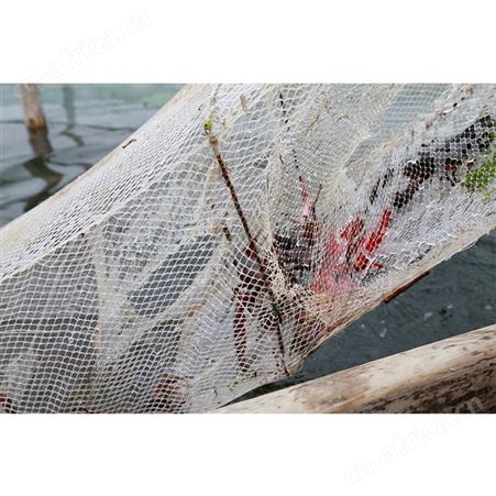 【工厂直批】洪湖湿地清水小龙虾700g*10盒加热即食