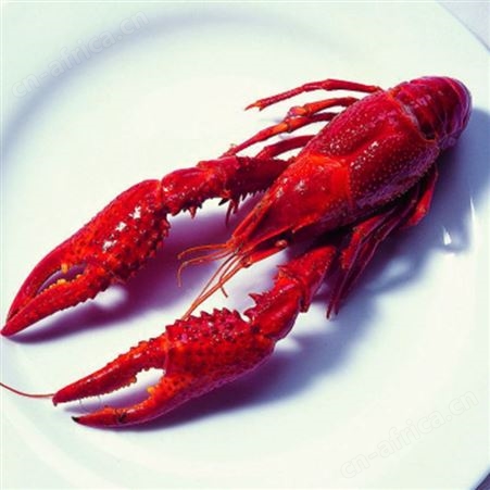 麻辣小龙虾加热即食熟食冷冻海鲜蒜蓉真空装750g包邮