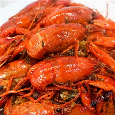 国联水产龙霸麻辣蒜蓉龙虾熟食4-6钱十三香小龙虾外卖商用750g