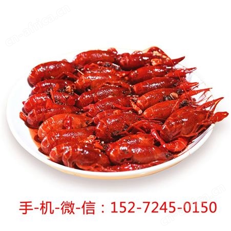 红太子麻辣小龙虾尾怎么做好吃即食加热潜江大号虾球香辣冷冻熟食